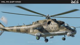 hind1.jpg