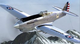 P-40.jpg