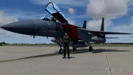 F15C_Covers.jpg