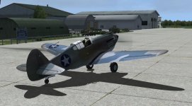 Texas Longhorn at KCRS.jpg