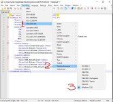 dll.xml_2.jpg