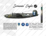11-x14-b-24-yankee-doodle-dandy-screamin-eagle-special_1_orig.jpg