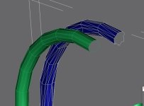 torus.jpg