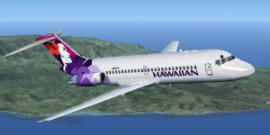 Hawaiian -10 New.jpg
