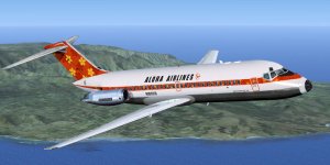 Aloha -10 Delivery.jpg
