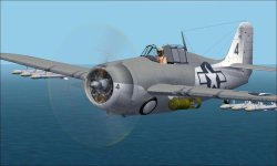 FM-1 Wildcat F.jpg