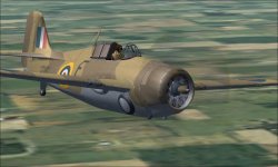 Martlet mk III B.jpg