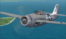 FM-1 Wildcat.jpg