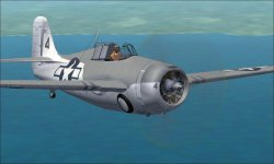 FM-1 Wildcat a.jpg