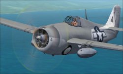 FM-1 Wildcat 1.jpg