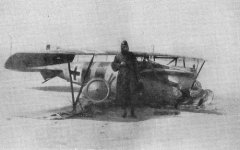 Albatros de Osterkamp.jpg
