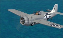 FM-1 Wildcat Black 3.jpg