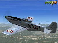 MUSTANG_3.jpg