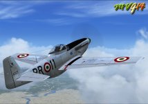MUSTANG_1.jpg