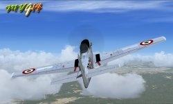 MUSTANG_2.jpg