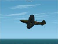 P-39_TailHook.jpg