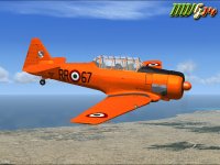 TEXAN RR67_2.jpg