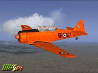 TEXAN RR67_1.jpg
