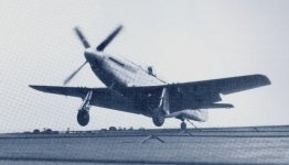 naval4.jpg