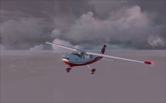cardinal in bad wx.jpg
