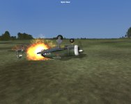 P-47 down 001.jpg