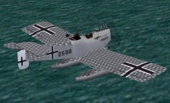 Hansa-Brandenburg W.29 Late 2598 1.jpg