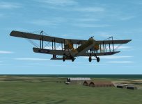 Kangaroo B9983 1.jpg