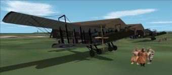 Kangaroo B9983 2.jpg