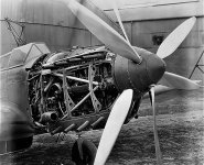 fairey-p24-monarch-battle-uncowled.jpg