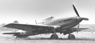 Il-10M.jpg