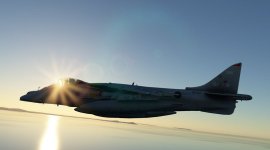 Harrier_3.jpg