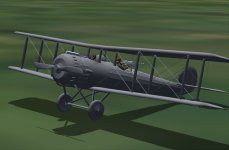 Salmson.jpg