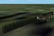 Hedges 3.jpg
