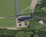 Hector_105.jpg