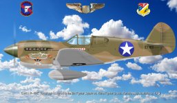 P-40 E Texas Longhorn publ.jpg