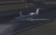 650 lights.jpg