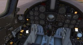 FlightSimulator 2021-02-11 10-33-12-10.jpg