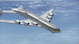 ant 225-22.jpg