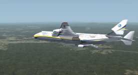 ant 225-33.jpg