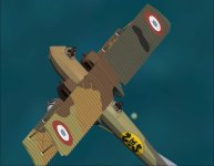caud_3.jpg