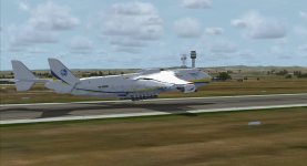 ant 225-46.jpg