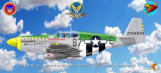 P-51 B Bald Eagle publ.jpg