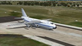 ant 124-50.jpg