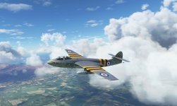 Seahawk 4.JPG