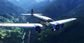 MSFS_065.jpg