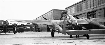 g-1+.jpg