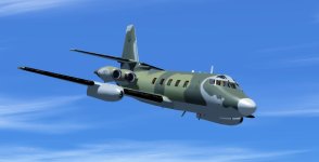 Camo P3d 2.jpg