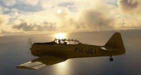MSFS_091.jpg