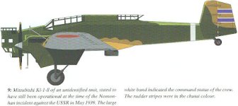 Ki-1.jpg