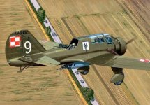 Polish Bomber.jpg